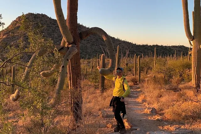 Tucson Guided Hikes in Saguaro National Park - Image 2