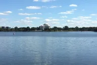 Washington D.C Walking Tour thumbnail 5