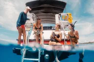 Maui Snorkel and Dolphin Adventure thumbnail 6