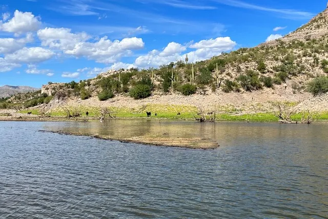 Lake Pleasant Boat Tour - Image 5