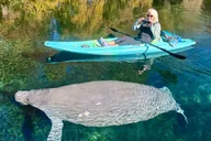 Silver Springs Florida Wildlife Kayak Tour thumbnail 1
