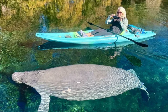Silver Springs Florida Wildlife Kayak Tour - Image 1