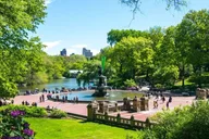 New York City Central Park Private Tour with Carousel Ride thumbnail 4