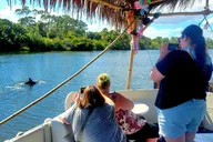 Melbourne Dolphin Sightseeing Tour 2 hr thumbnail 4