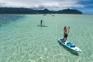 Kaneohe Sandbar Snorkeling Tour thumbnail 4