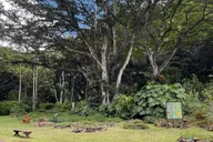 Oahu Private Tour North Shore and Waimea Falls thumbnail 6