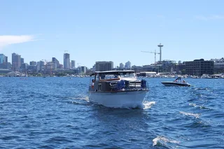 Seattle Sightseeing Cruise BYOB 1 hr