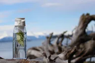 Juneau Wilderness Mindfulness Experience thumbnail 5