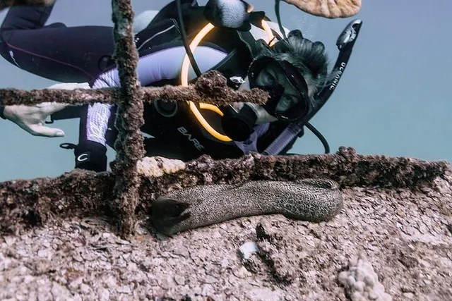 Waikiki 2-Tank Wreck and Reef Boat Dive - Image 2