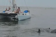 Folly Beach Sailing Tour at Sunset thumbnail 6