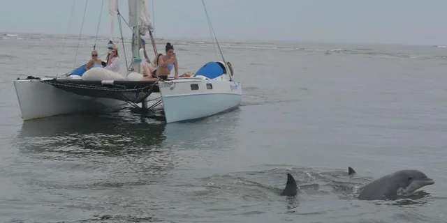 Folly Beach Sailing Tour at Sunset - Image 6