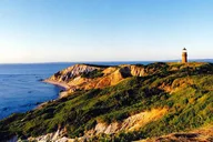 Martha's Vineyard Island Tour from Oak Bluffs 3 hr thumbnail 3