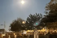 St. Augustine Nights of Lights Electric Cart Tour thumbnail 5