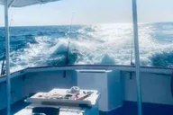 Panama City Beach Dolphin Tour thumbnail 5