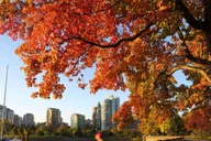 Seattle Vancouver Private Day Tour thumbnail 1