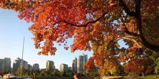 Seattle Vancouver Private Day Tour