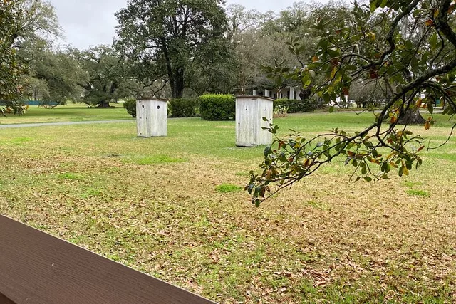 New Orleans Oak Alley Plantation and Airboat Tour - Image 6