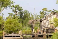 New Orleans Bayou and Swamp Tour thumbnail 2