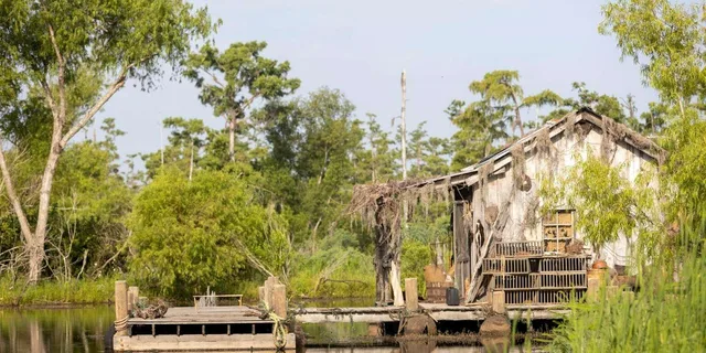 New Orleans Bayou and Swamp Tour - Image 2