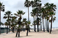 Los Angeles Bike Tour of Beverly Hills and Venice thumbnail 3