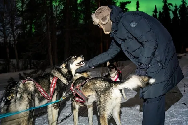 Fairbanks Dog Sledding and Northern Lights Combo - Image 2