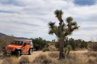 Joshua Tree National Park Offroad Tour thumbnail 5