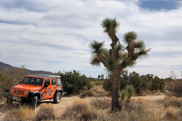 Joshua Tree National Park Offroad Tour - Image 5