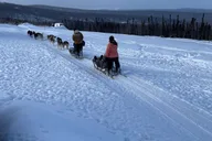 Fairbanks Dog Mushing School 2 hr thumbnail 2