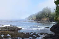Port Angeles Olympic National Park Half-Day Tour thumbnail 6