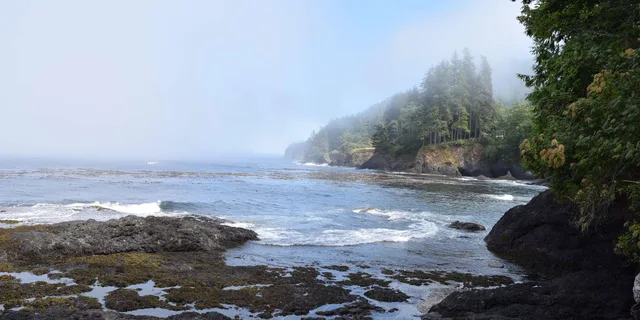 Port Angeles Olympic National Park Half-Day Tour - Image 6