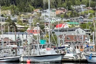 Ketchikan Rainforest Tour thumbnail 6