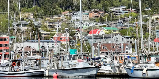 Ketchikan Rainforest Tour - Image 6