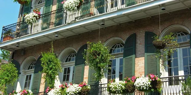 New Orleans Historical Walking Tour 2 hr - Image 6