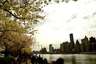 New York City Tour with Photographer thumbnail 3