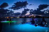 Austin Kayak Tour on the Lower Colorado River thumbnail 4