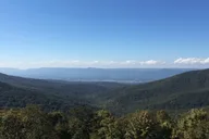 Washington D.C. Shenandoah and Luray Caverns Tour thumbnail 4