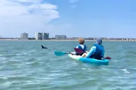 Virginia Beach Dolphin Kayak Tour thumbnail 4