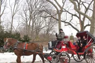 New York City Horse-Drawn Carriage Ride thumbnail 2