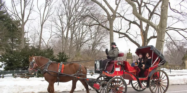 New York City Horse-Drawn Carriage Ride - Image 2