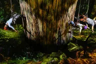 New York Broadway Show: Redwood Starring Idina Menzel thumbnail 3