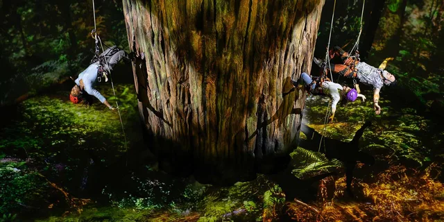 New York Broadway Show: Redwood Starring Idina Menzel - Image 3