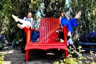 San Francisco Muir Woods and Wine Country Tour thumbnail 1