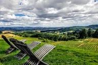 Oregon Wine Tour with Lunch Stop thumbnail 5