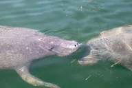 Key West Private Boat Charter thumbnail 3