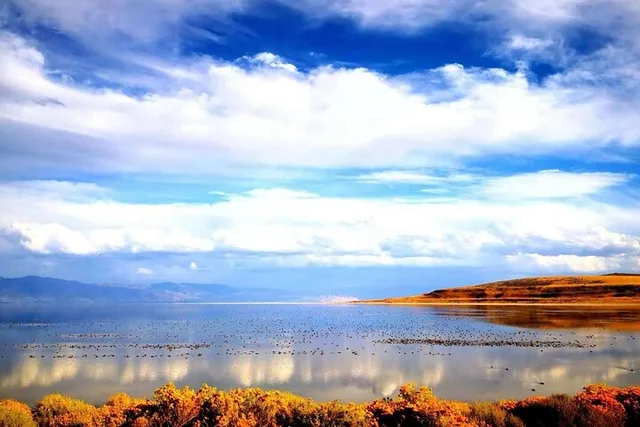 Grand Teton, Yellowstone, and Glacier National Parks Tour - Image 5