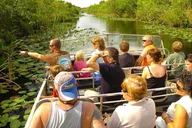 Miami Combo Tour: Everglades and Boat Experience thumbnail 3