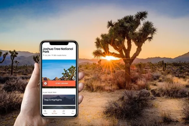Joshua Tree National Park Self-Guided Driving Audio Tour - Image 3