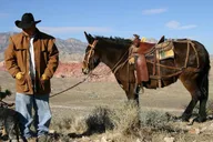 Las Vegas Horseback Riding in Red Rock Canyon 2 hr thumbnail 1