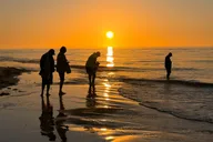 St. Pete Dolphin Watching and Island Sunset Cruise thumbnail 1