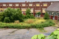 Atlanta Walking Dead Private Tour 7 Hr thumbnail 2